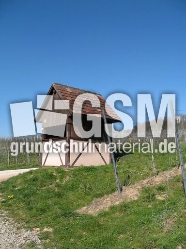 Weil am Rhein Weiler Weinweg 025.jpg